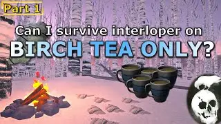 Birch Bark Tea Challenge on Interloper (Part 1)