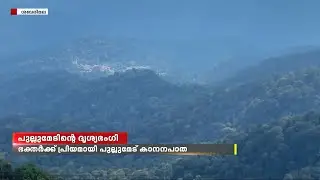 പ്രകൃതിഭംഗിയും സാഹസികതയും ആകർഷണമായ പുല്ലുമേട് കാനനപാത യാത്ര |   Pullumedu Sabarimala