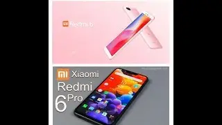 Redmi 6 , Redmi 6 Pro , Google Duo , Cash Reward