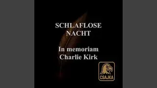 SCHLAFLOSE NACHT (Csajka Version)