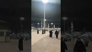 Update Terkini Masjid nabawi setelah sholat Maghreb #Shorts