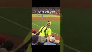 The Greatest Glizzy Seller Alive 🌭