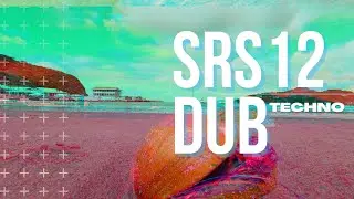 #techno #dubtechno #dubtechnomix #electronica SRS12 Dub Techno (mixed by thief operandi)