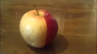 VOIP test