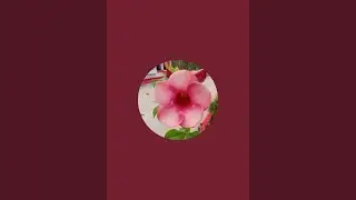 sat marga - topic  is live! alekh mahima bhajan akhand Jyoti Mandir Bhajan Sandhya