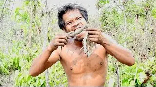 primitive technology -find CHEAS (kin of agamid lizard)dig by bamboo-cooking and eating delicious