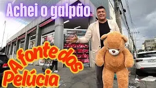 R$13,00 ACHEI A IMPORTADORA DE PELÚCIAS, BOIAS BRINQUEDOS 🧸 E UM CORREDOR INTEIRO DE PETS E MOCHILAS
