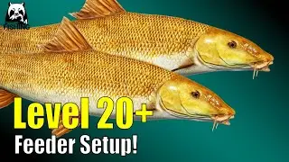 Russian Fishing 4 - B&auml;rensee - Level 20+ Feeder Setup! Auf Barbe - Haarmontage ganz einfach! #rf4