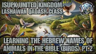 ISUPK UK Lashawan Qadash Class - Learning the Hebrew Names of Animals In The Bible (Birds) Pt.2
