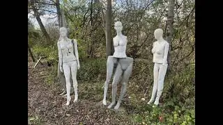 Get My Shit Together