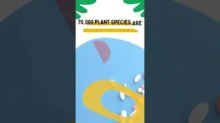 amazing facts about plants in english
