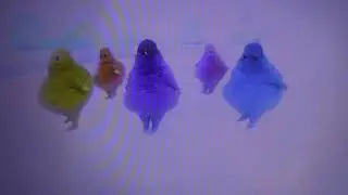 The Boohbahs Swing Their Arms and Shape Up To Mr. Young Theme Song