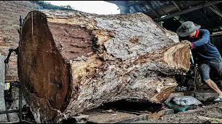 Australia&rsquo;s Most Dangerous Sawmill Operation ‼️ Cutting Trees to Prevent Disaster