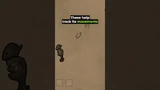 Rimworld Revenants Explained: Tips & Tactics