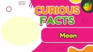Moon Phases | Moon Phases Made Easy: A Fun Exploration for Kids | Discovering the Phases of the Moon