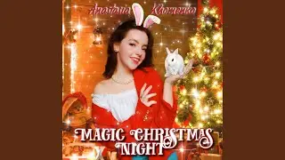 Magic Christmas Night
