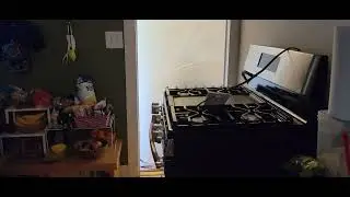 More Noise During Our Kitchen Demolition!