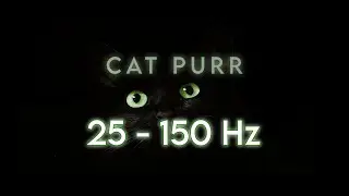 25-150 Hz CAT PURR 1HR | Stress relief, blood pressure, pain relief, relaxation
