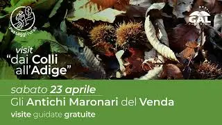 Calendario delle visite guidate di Aprile 2022