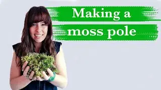 How to attach and make a moss pole | According To Jess