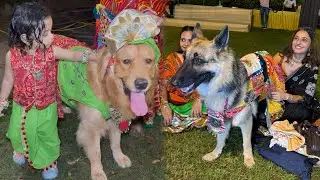 Pet Navratri | Dogs in Traditional Dresses Playing Garba in Ahmedabad | Unique Celebration India