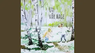 Lille katt