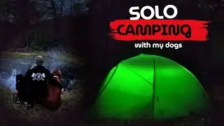 Solo Fall Tent Camping and Hiking with My Dogs