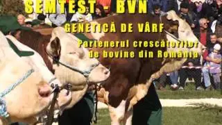 Semtest-BVN Targu-Mures - Genetica de varf