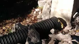 Sumiton ALABAMA DUMPING SEWAGE IN RIVER