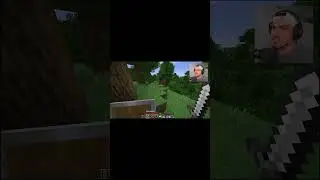 Snik vede o fantoma pe Minecraft? #shorts #snik #funny #ratatii