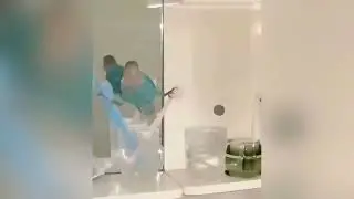 Animals sex seduction