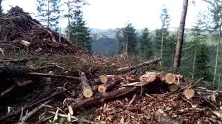 turn of the day