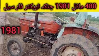 Fiat 480 Model 1981 For Sale | Old Model Tractor For Sale Machanical Very Good Tractor|