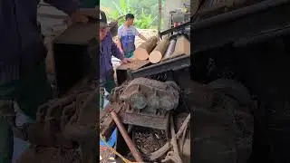 Export Veneer Production #veo 3AI#woodcutting #syninhvan #amazing #machine #plywood