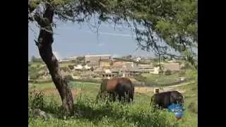 Nkandla residents hurt by the Presidents homestead splurge