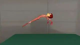 BODY MECHANICS