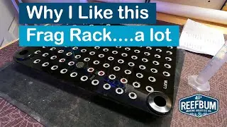 Why I Like This Frag Rack...a lot