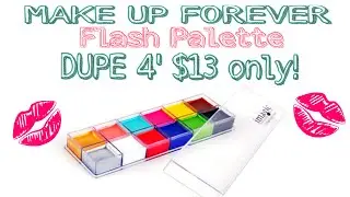 IMAGIC 12in1 flash palette (MUFE flash palette dupe)