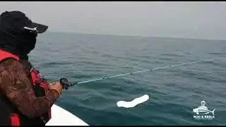 Rodandreels Custom Slow Jigging Rod 10 to 60 max 100g fuji k guides Sensitive tip max drag 12kg test
