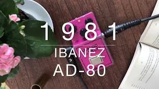 1981 Ibanez AD-80