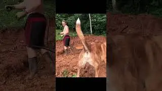 Digging Until I can build a TINY HOUSE on a HILLSIDE (PartV)