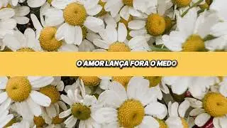TUDO QUE EU CREIO FLORESCE @cartasparacamomila 