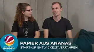 Papier aus Ananas: Studierende aus Hannover entwickeln einzigartiges Verfahren