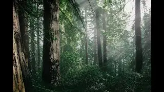 Rewind Nature: The North Face&rsquo;s Tim Hamilton on Sustainable Design