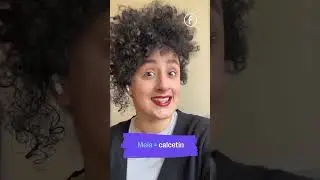 5 significados de 'meia' en portugu&eacute;s | Fluency Academy