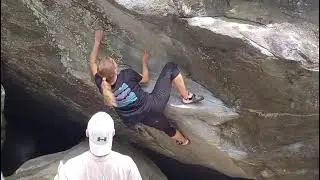 Magic Wood - Mut zur Verzweiflung (7A)