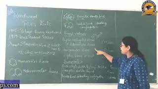 WOOD WARD FIESER RULE  @ Mrs. Tanuja Bist, Asso. Prof., GISIPS, Dehradun