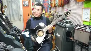 Shelly / K.yairi  SY-MT