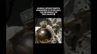 The Sun&rsquo;s True Colour 😱 #space #universe #spacefacts #facts #sun #earth #shorts #youtube #nasa