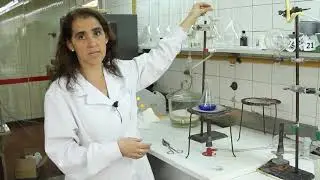 Determinaci&oacute;n de hidratos de carbono por el m&eacute;todo de Fehling
